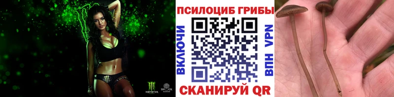 купить  цена  Сорочинск  Галлюциногенные грибы ЛСД 